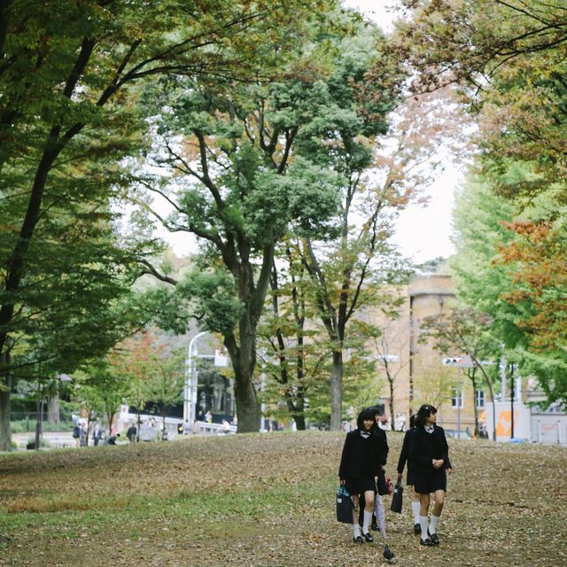 動物園+神社+博物館+櫻花+銀杏=上野公園