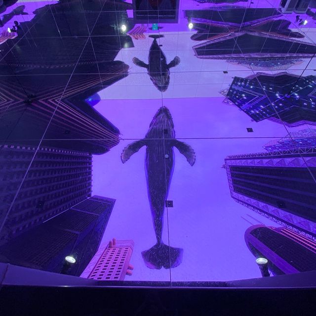 Amazing installation in Korea