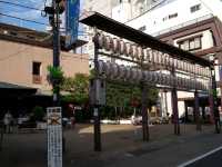 Traditional Shopping Street in Tokyo, Sugamo