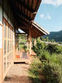 Mori Natural Farm โมริ เนเชอรัลฟาร์ม เชียงใหม่🌳☁️