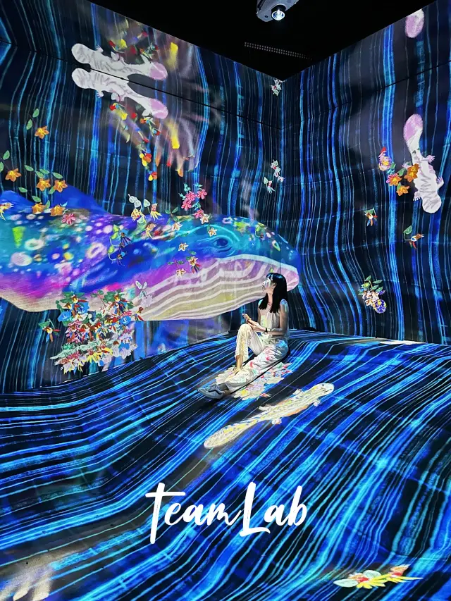 香港teamLab｜在沈浸式共創中做光影藝術家