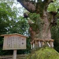 愛知旅行！観光名所「熱田神宮」