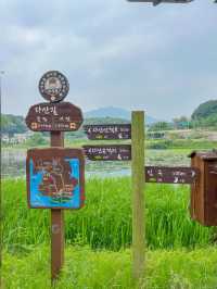 푸릇한 자연속에서 힐링한 다산생태공원💚