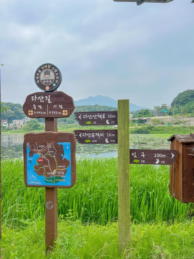 푸릇한 자연속에서 힐링한 다산생태공원💚