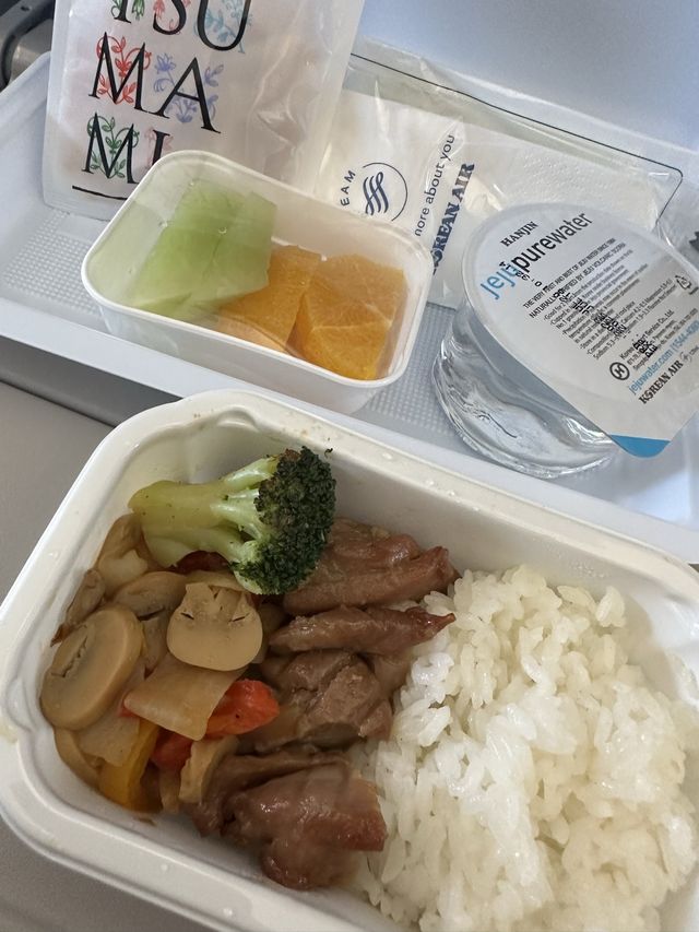 《搭乗記》中部国際空港→仁川国際空港✈️大韓航空🇰🇷空の旅☁️