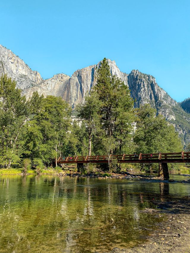 관광객 필수 코스, 요세미티 사인🏞️