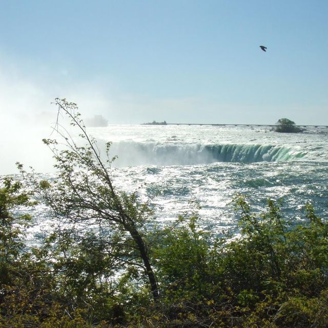 Magnificent Niagara - Horseshoe Falls 🇺🇸