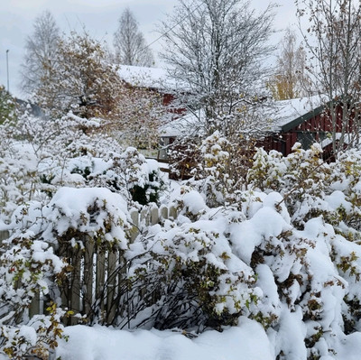 Snow in Oslo 