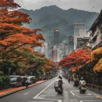 Taipei’s Radiant Tapestry