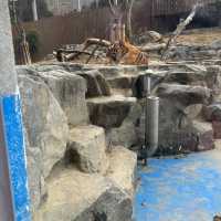 Huge zoo in Seoul