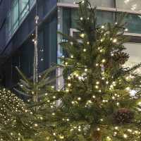 크리스마스 드림 모먼츠, 노원 롯데백화점🎄