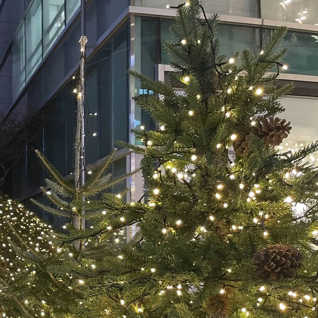 크리스마스 드림 모먼츠, 노원 롯데백화점🎄