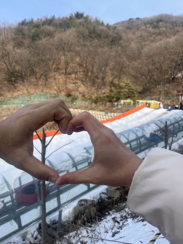 눈썰매 타며 동심으로 돌아가는 경기 양주 눈꽃축제 나들이❄️