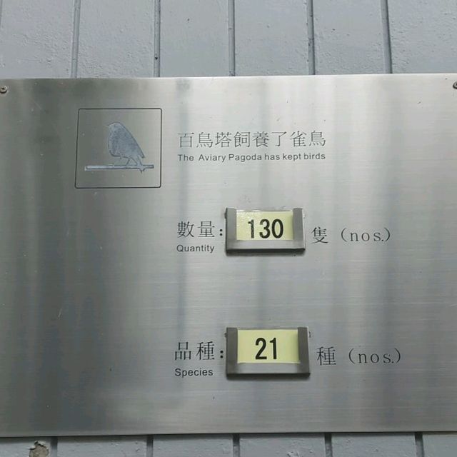 元朗公園悠閒好去處