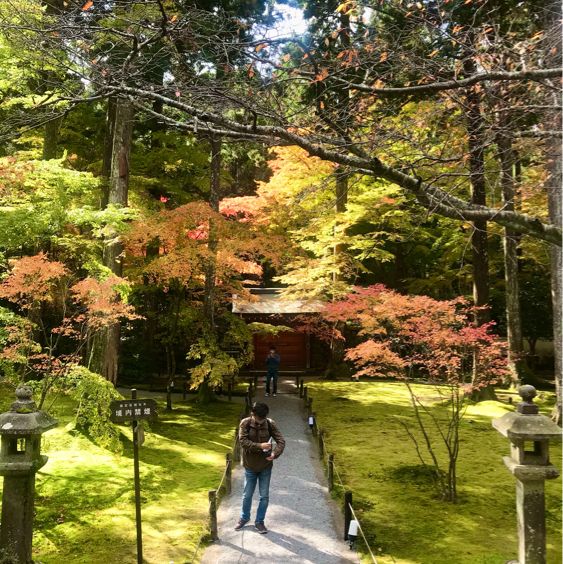 京都の美しいお庭が堪能できる【三千院】