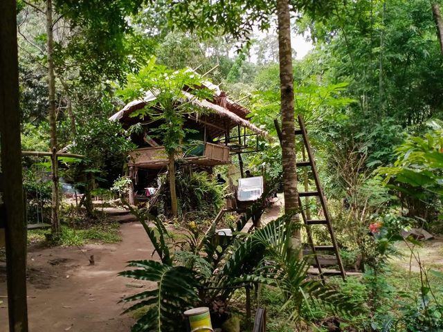 🏡 อยู่เถื่อน ณ สวนเกาะ 