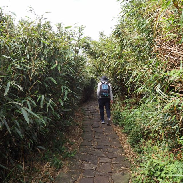 Yangmingshan: Lengshuikeng>>xiaoyoukeng trail