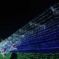 冬の七夕祭りのイルミネーション