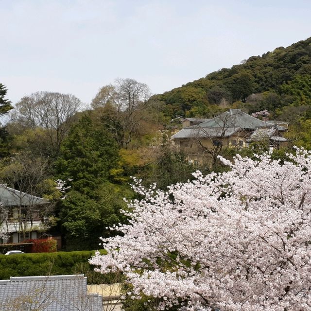 京都地標清水寺