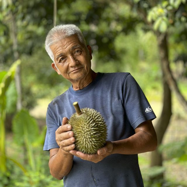 ตะลุยกินทุเรียนหน้าสวน จ. พังงา