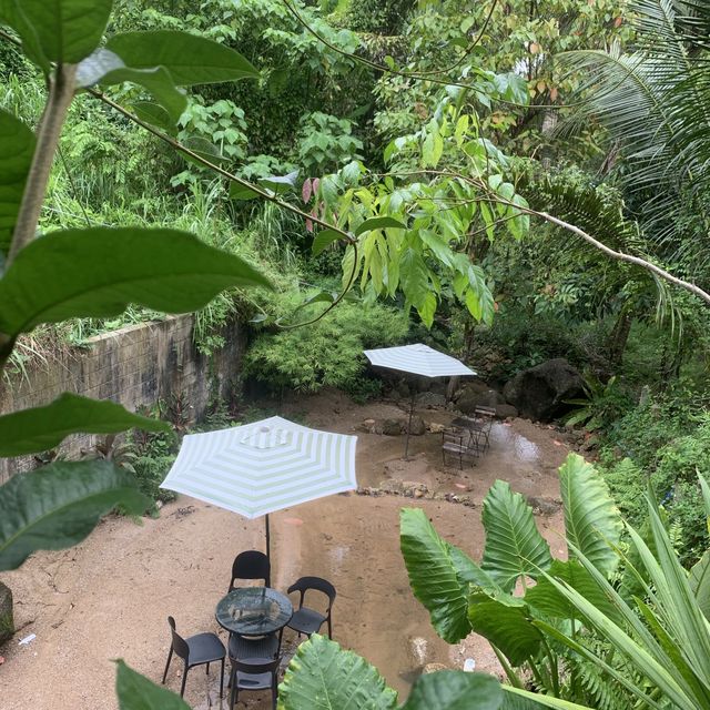 Jungle Cafe 