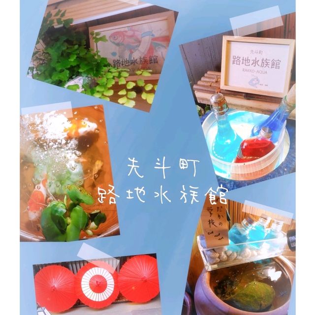京都の穴場観光スポット　不思議な世界観の水族館