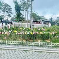 Exploring Baguio’s Botanical Wonders