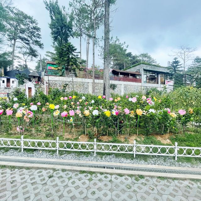 Exploring Baguio’s Botanical Wonders