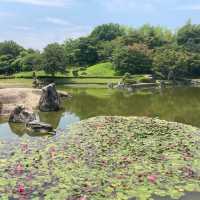 日本庭園「花田苑」