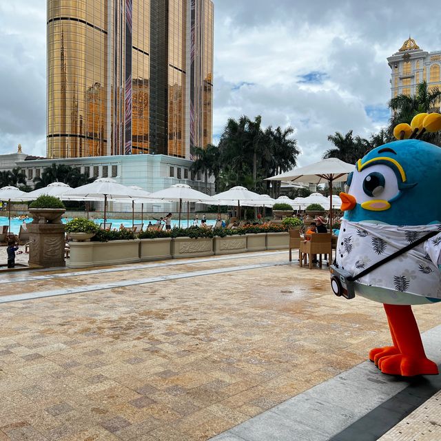 🍹盡享夏日清涼每一刻-澳門三日兩夜之天浪淘園