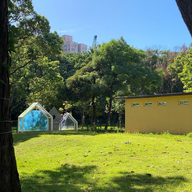 兒童玩具圖書館📚