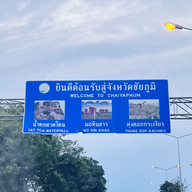 ดอกกระเจียวบานหน้าฝน🌧️