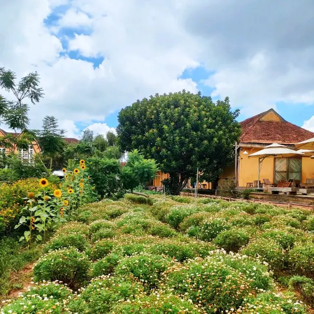 Da Lat Railway Station and Its Cafe