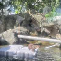 海洋公園一日遊