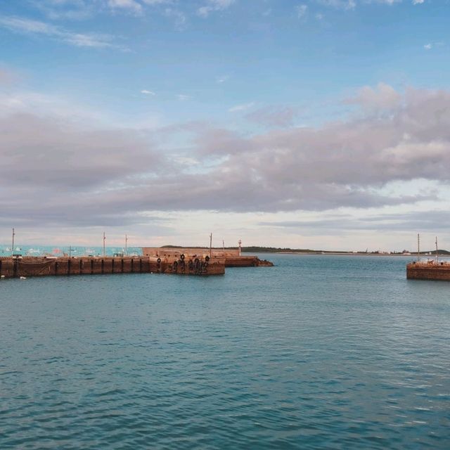 澎湖夜釣小管海上巡覽