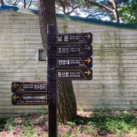 ［釜山］一小時來回快閃登山～金剛山纜車之旅