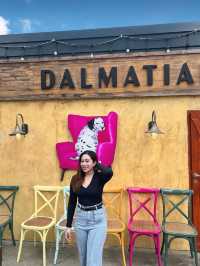 Dalmatian @siam square