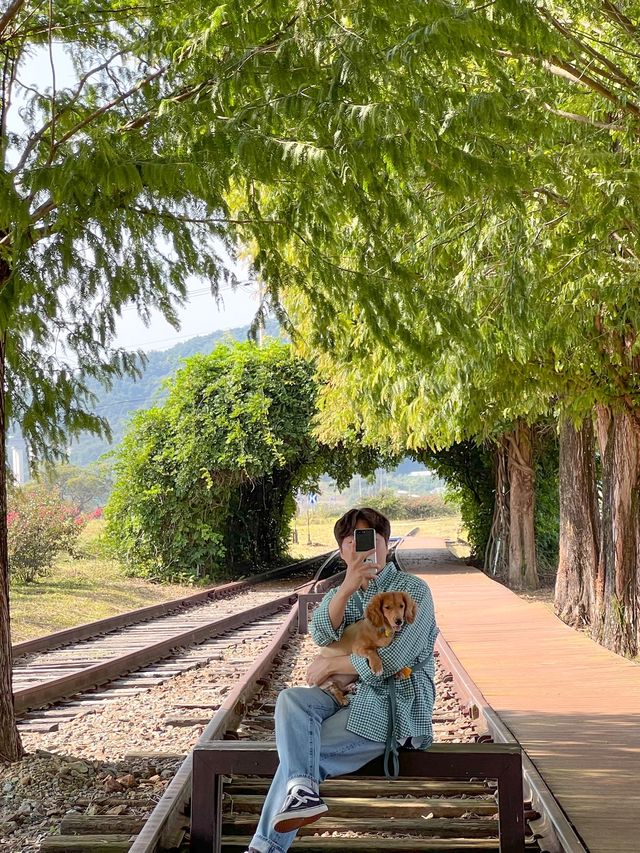 남원 숨은 여행지🌾폐역을 개조한 서도역🚉
