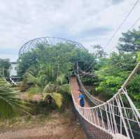เดินชิล ณ เนรมิตคาเฟ่ @ชัยนาท