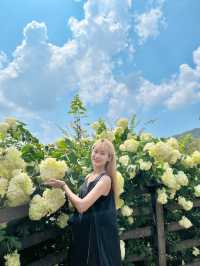  서울 근교 가볼만한 곳 #산정호수 