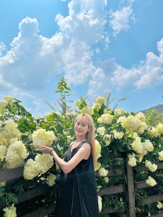  서울 근교 가볼만한 곳 #산정호수 