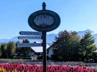 Tomita Farm in Furano