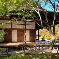 京都南禪寺🙏🏻禪修之旅中的和諧花園 🍵🌸