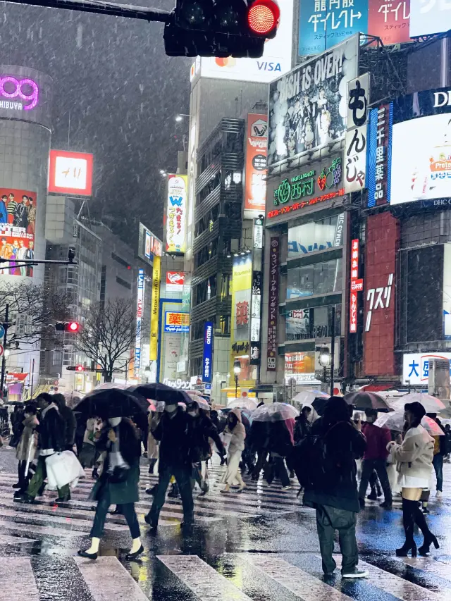 Shibuya - The place where the lights never go