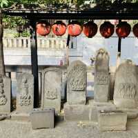 鳥居が鮮やか - 豊栄稲荷神社 -