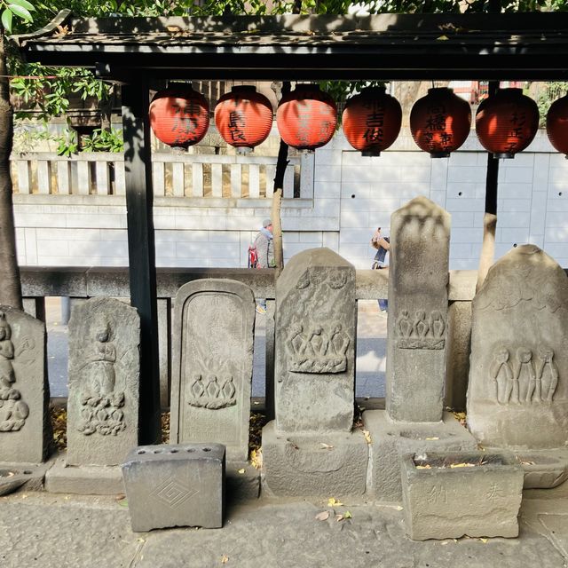 鳥居が鮮やか - 豊栄稲荷神社 -