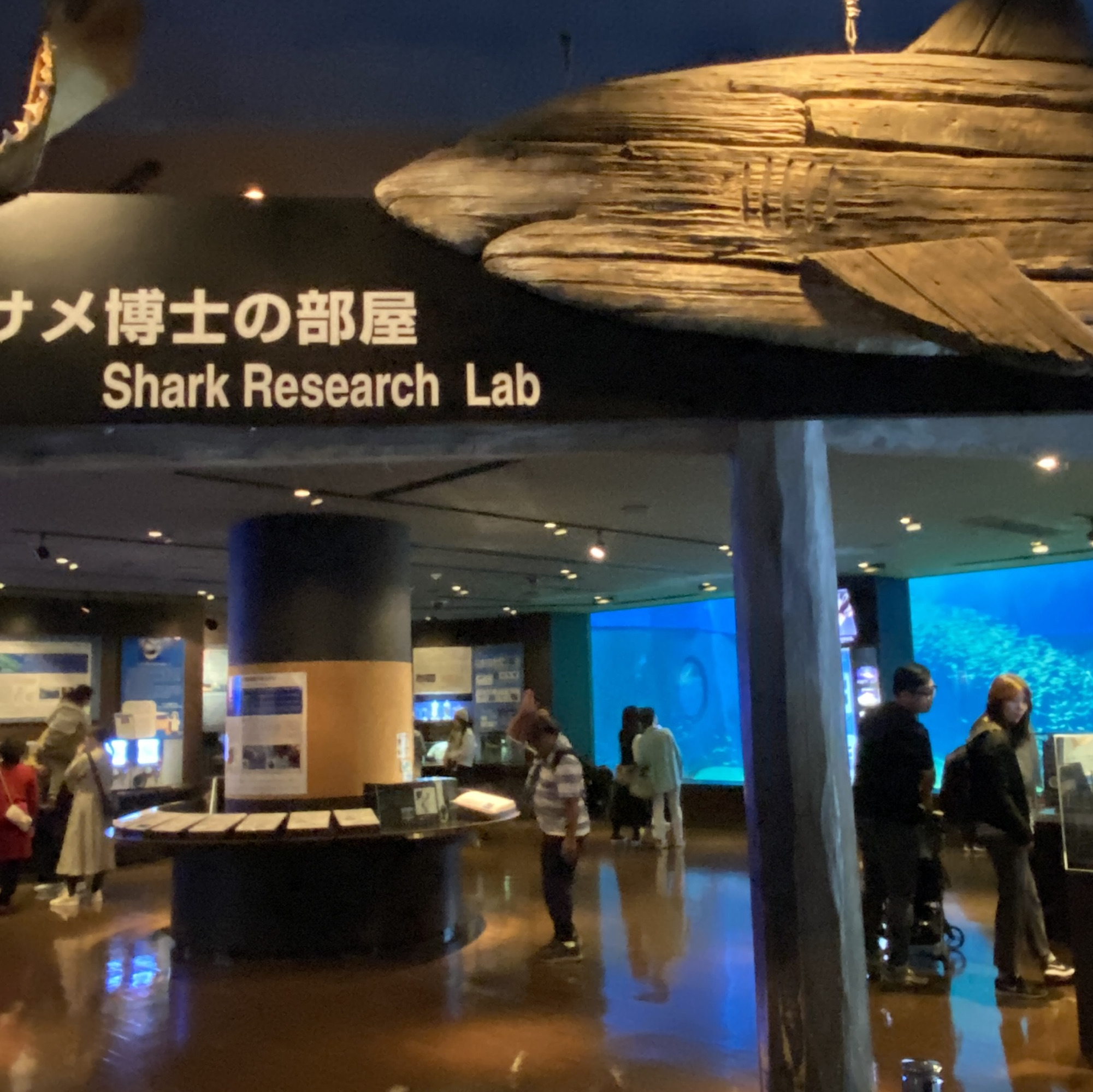 Just so AMAZING - Okinawa Churaumi Aquarium | Trip.com Motobu