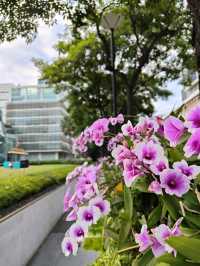 เทศกาลแห่งความสุขที่คิงพาวเวอร์