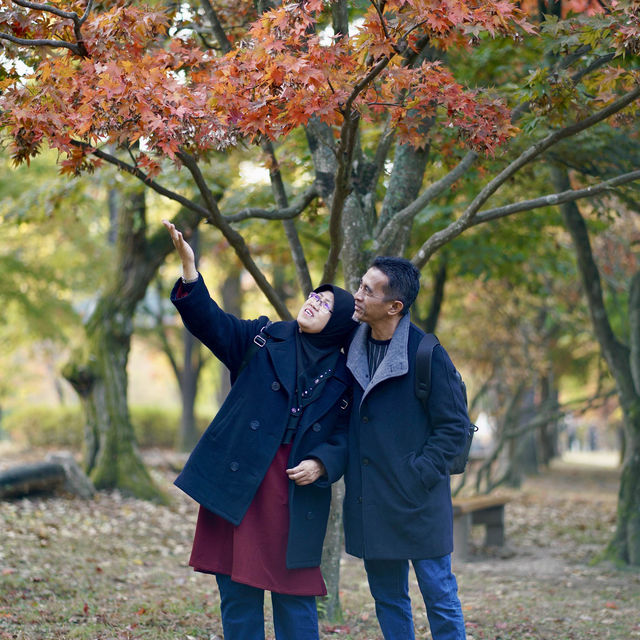 Enjoy the photoahoot in Nami Island