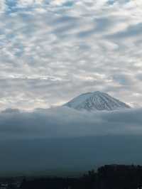 ชมวิวฟูจิซัง ริมทะเลสาบ 🗻